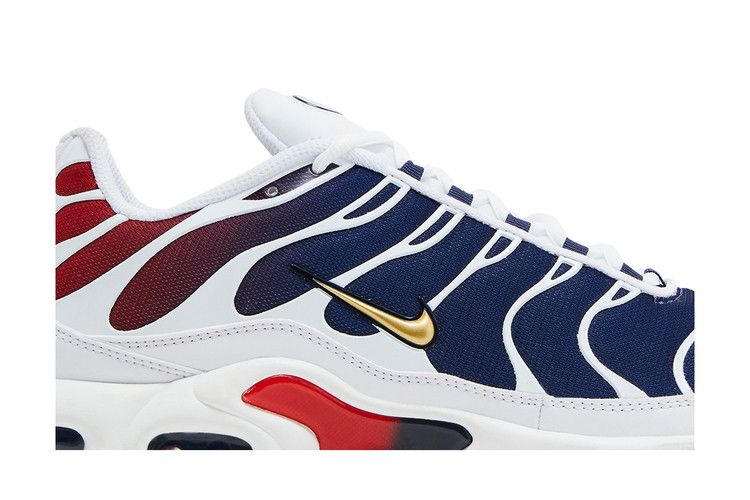 Nike Air Max Plus PSG