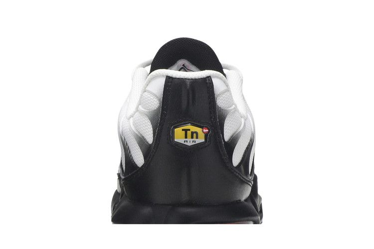 Nike Air Max Plus Retro Future
