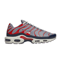 Nike Air Max Plus USA Grey