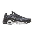 Nike Air Max Plus Dark Smoke Grey